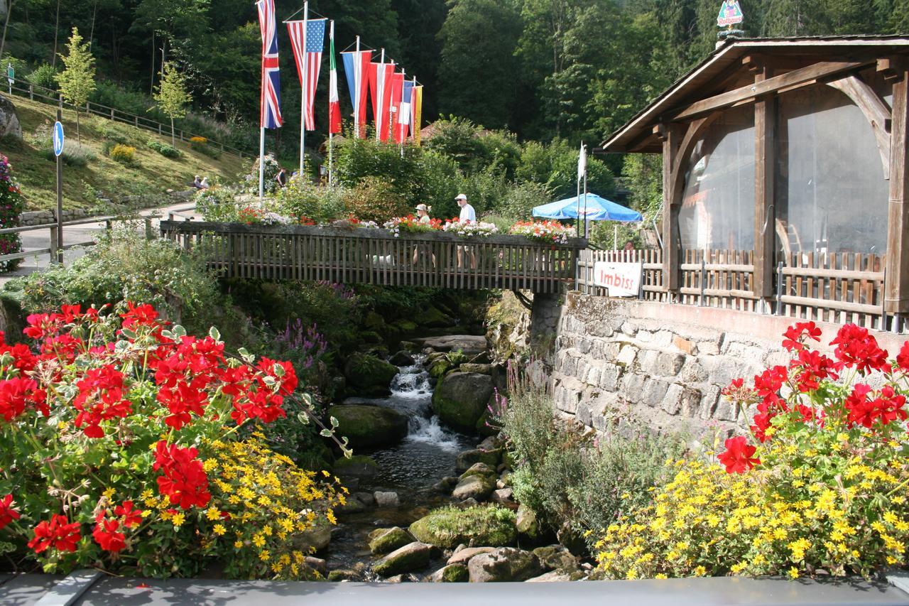 Hotel Gaestehaus Zur Lilie Triberg im Schwarzwald Exterior foto