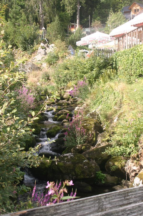 Hotel Gaestehaus Zur Lilie Triberg im Schwarzwald Exterior foto