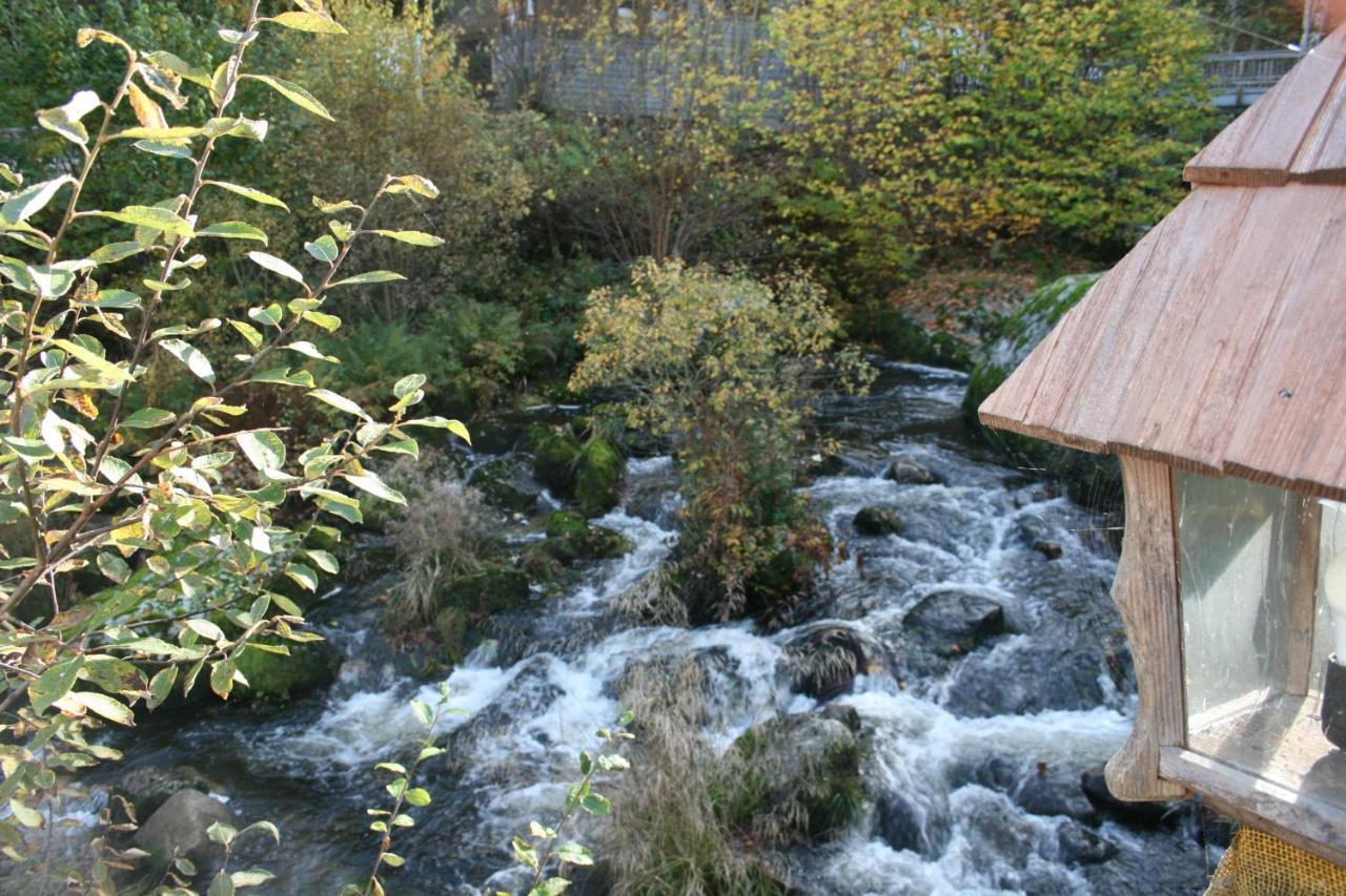 Hotel Gaestehaus Zur Lilie Triberg im Schwarzwald Exterior foto